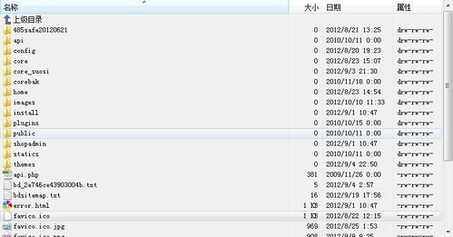 为什么你网站的favicon图标一直不显示？不慌，可能是这几个原因
